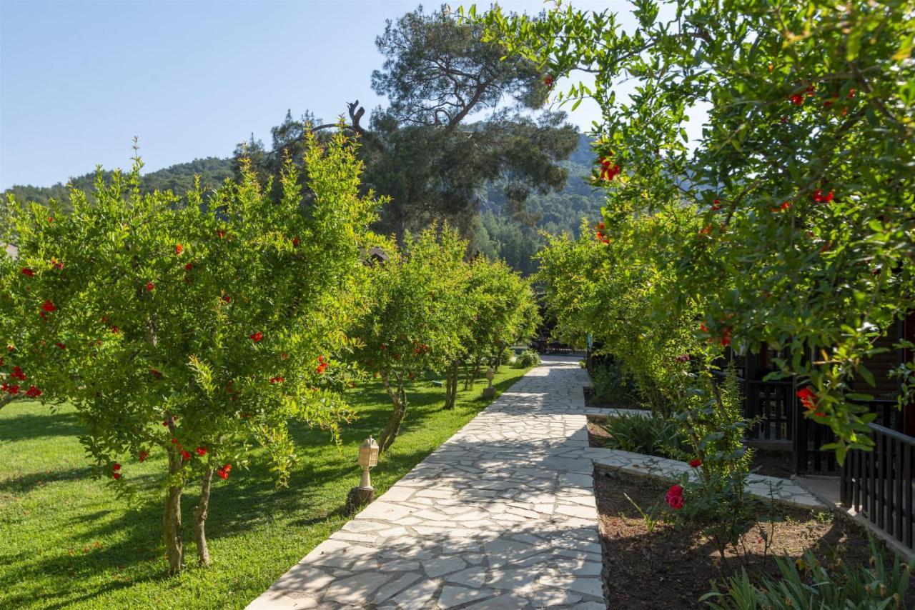 Koala Bungalows Olympos Exterior photo